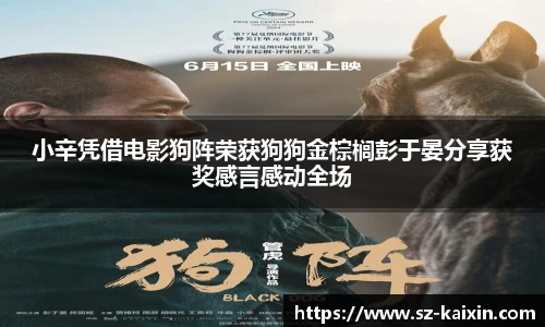 非凡软件站